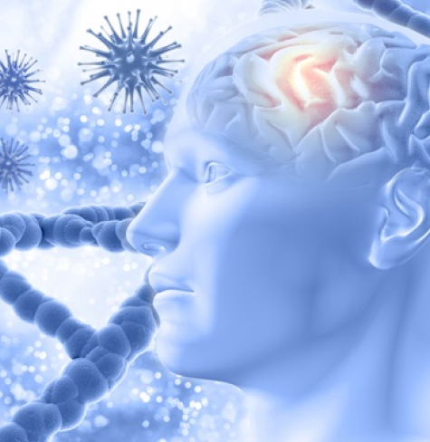 neurology
